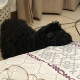 Foto de Lara Machado